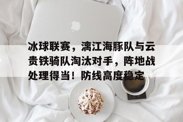 九游棋牌冰球联赛，漓江海豚队与云贵铁骑队淘汰对手，阵地战处理得当！防线高度稳定的简单介绍